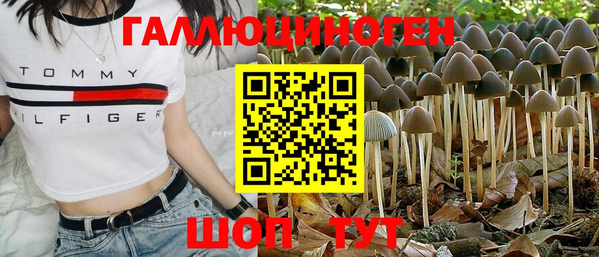 Усолье-Сибирское  Галлюциногенные грибы прущие грибы  Вход с VPN 